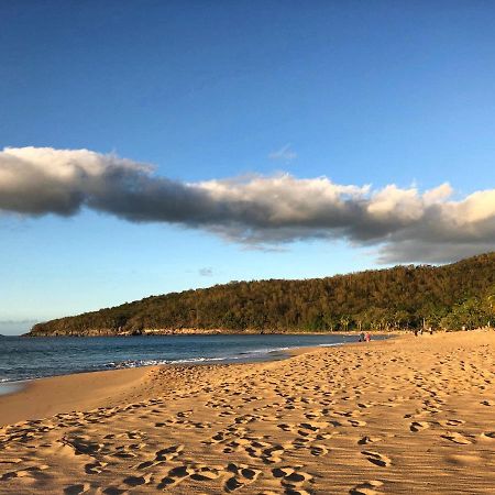 Le Surf Lodge, Chambre Avec Vue Mer Dans Un Ecrin De Verdure Deshaies Exterior photo
