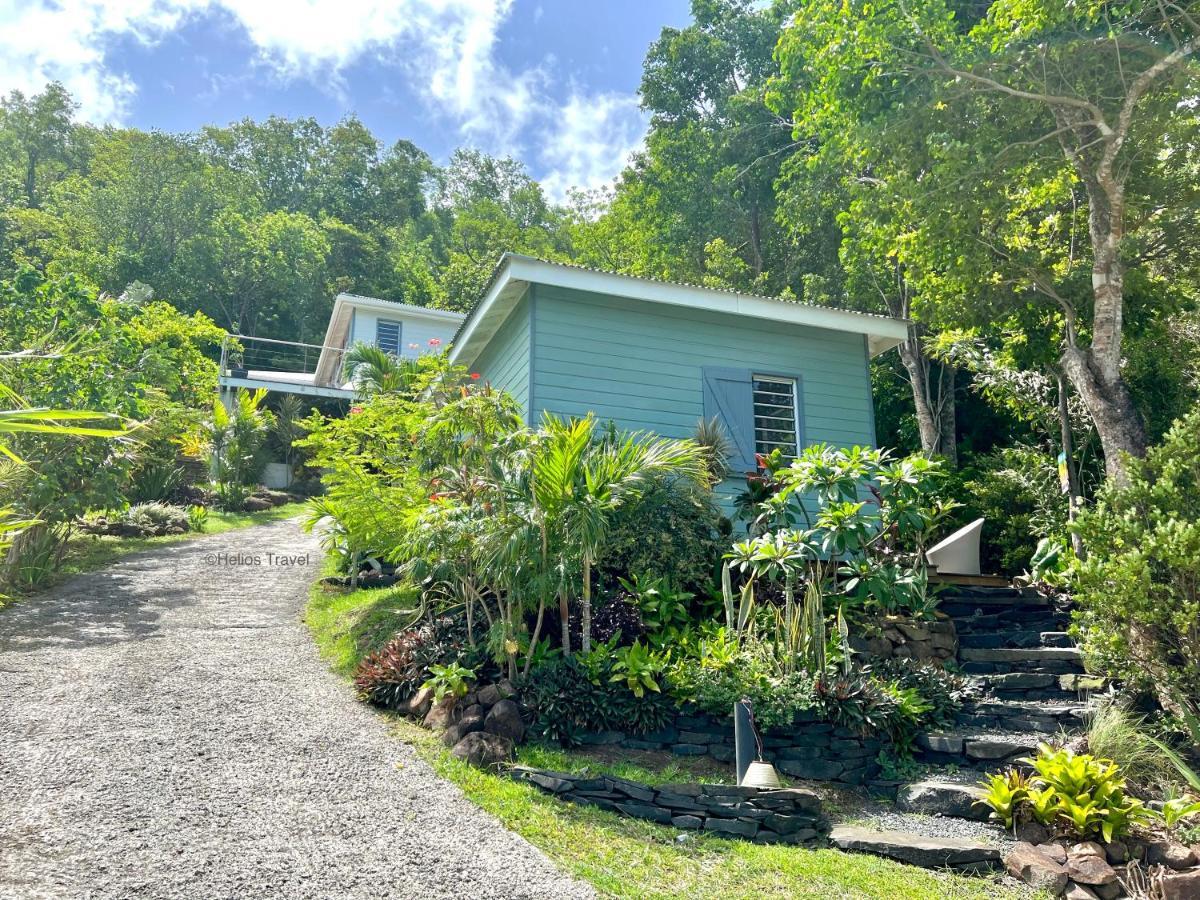 Le Surf Lodge, Chambre Avec Vue Mer Dans Un Ecrin De Verdure Deshaies Exterior photo