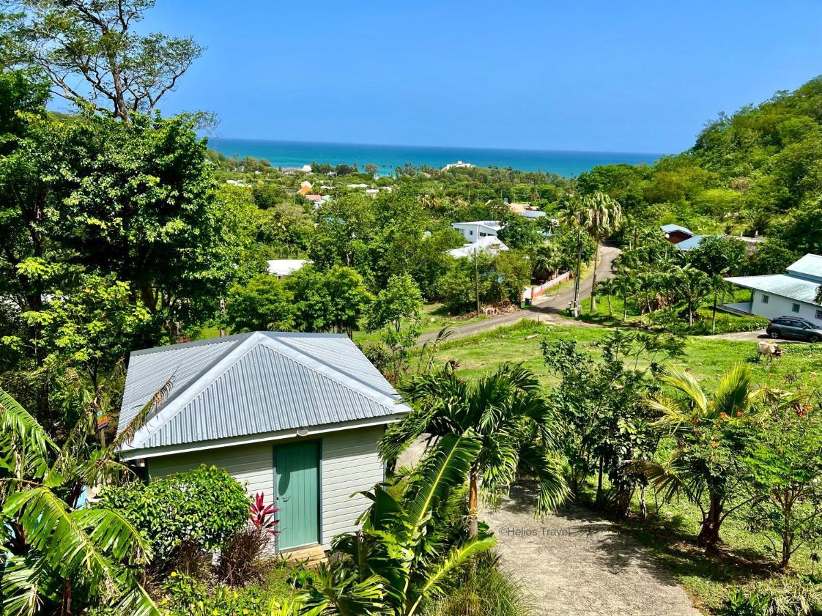 Le Surf Lodge, Chambre Avec Vue Mer Dans Un Ecrin De Verdure Deshaies Exterior photo