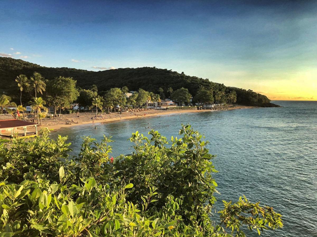 Le Surf Lodge, Chambre Avec Vue Mer Dans Un Ecrin De Verdure Deshaies Exterior photo